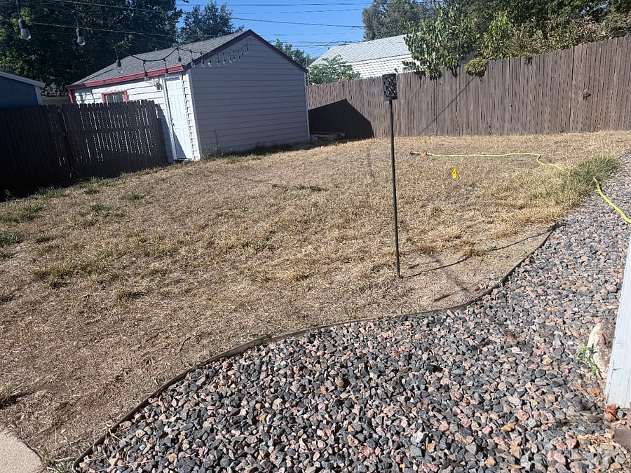 Fenced back yard
