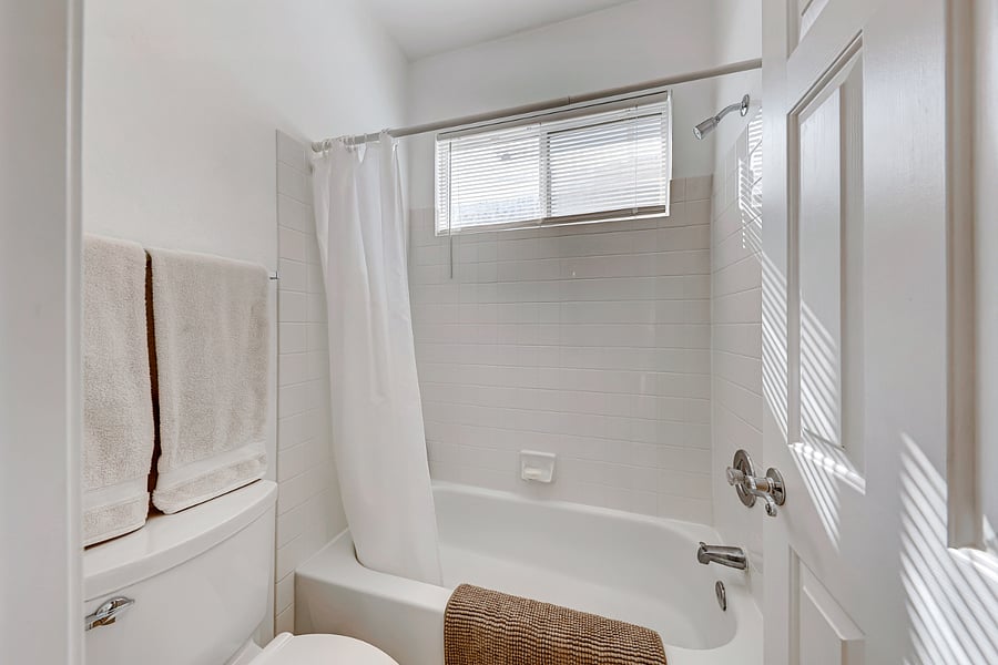 Tub & Shower Combo
