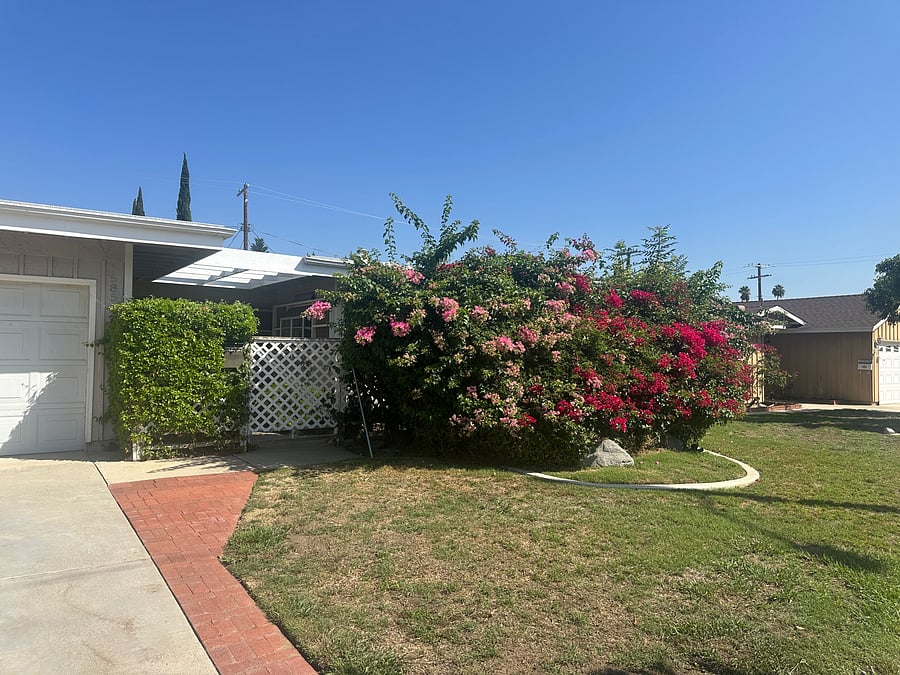 Furnished Finder property 1036892_1 photo 11