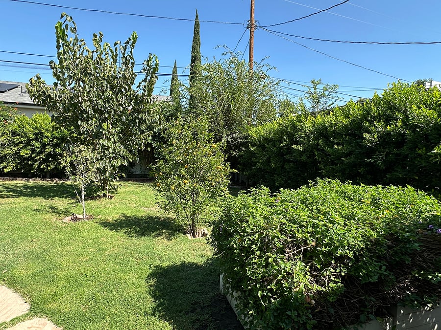Furnished Finder property 1036892_1 photo 15