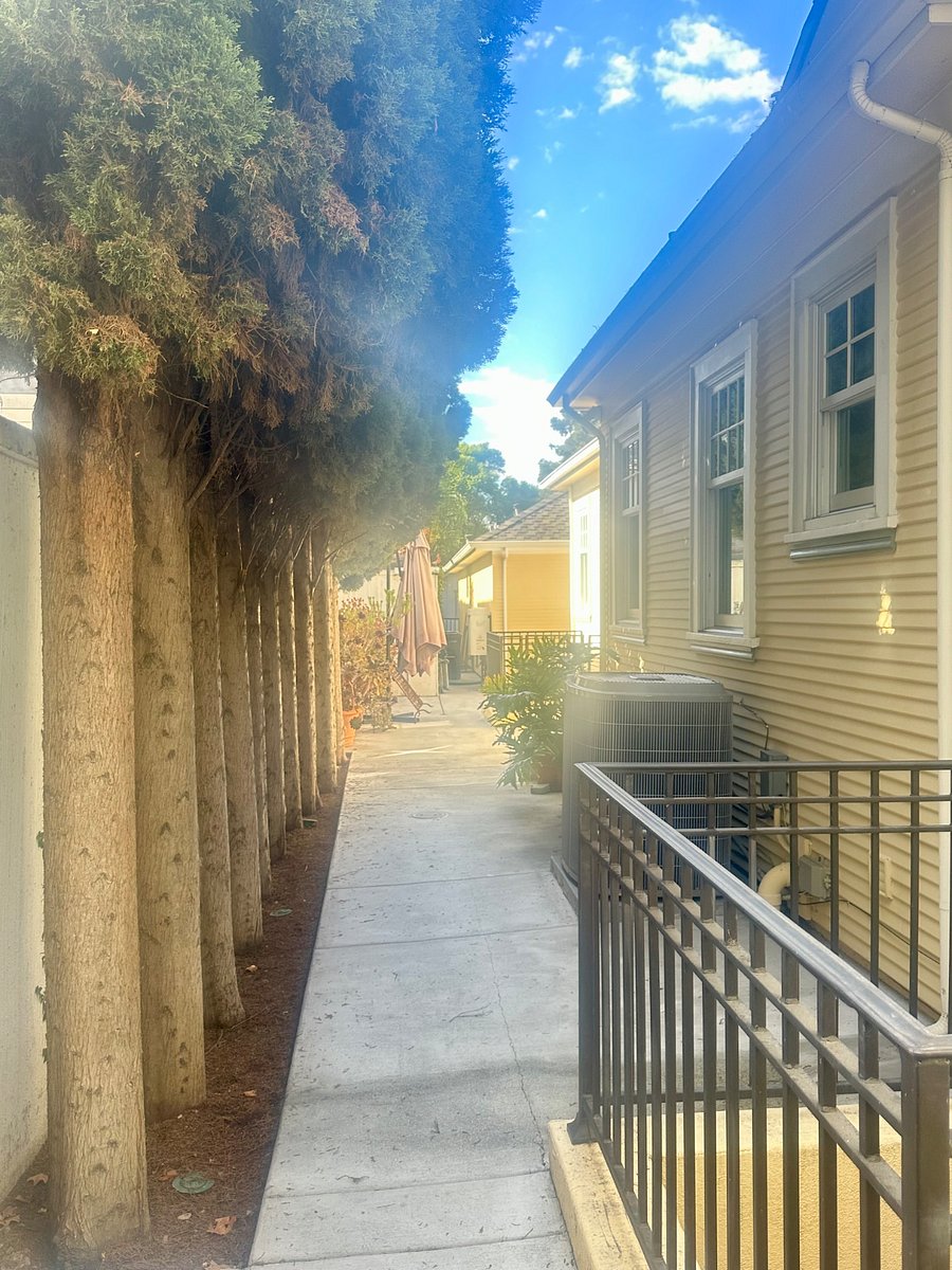 Furnished Finder property 1036921_1 photo 4