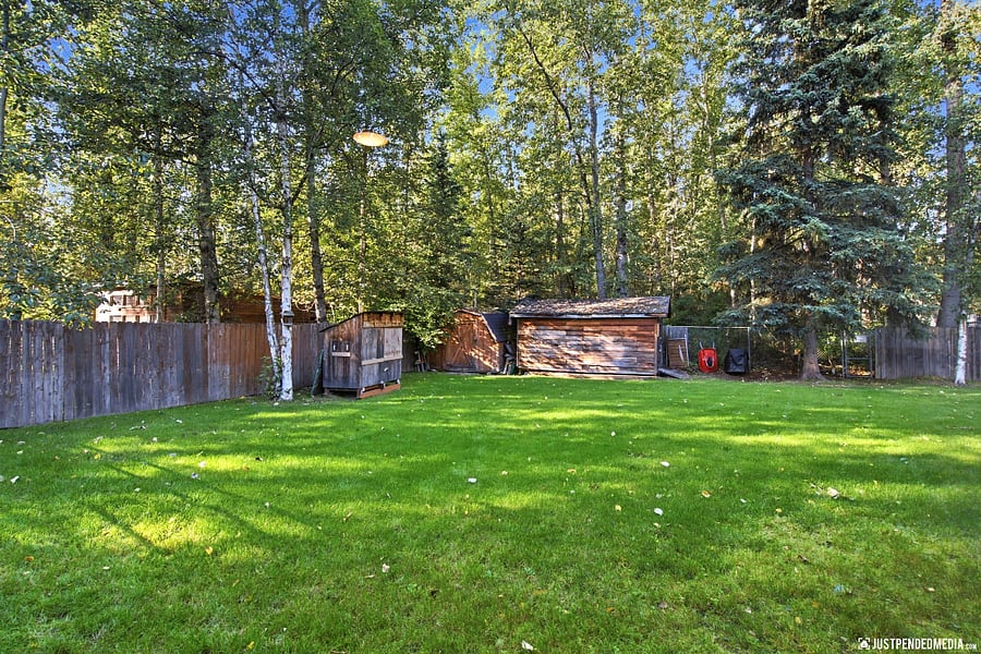 back yard
