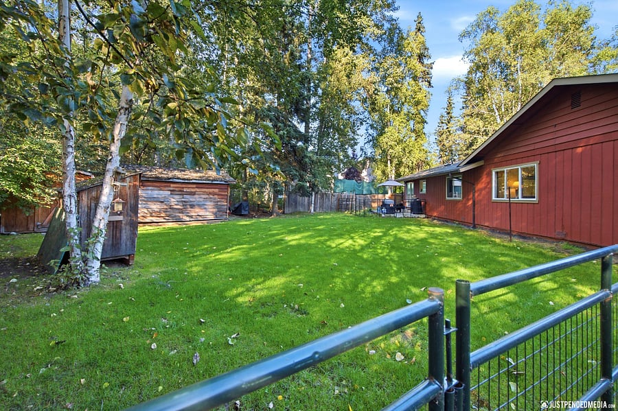 back yard