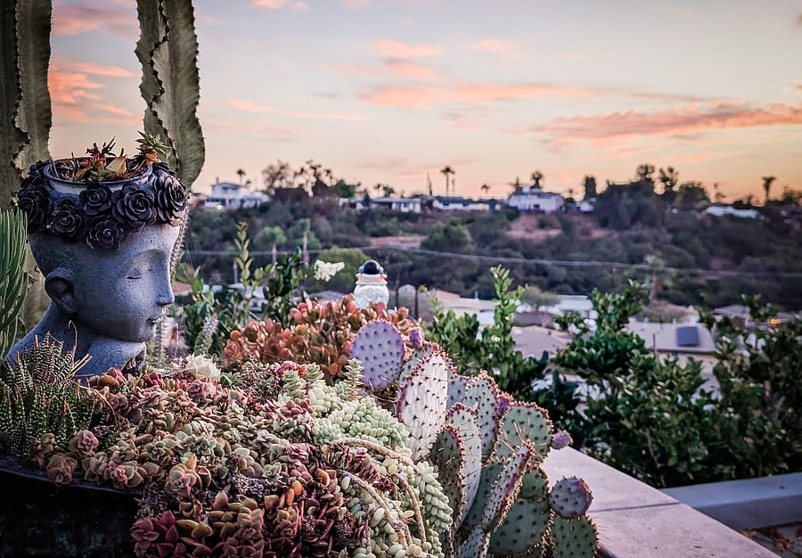 Garden and canyon view at dusk