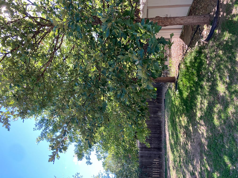 Furnished Finder property 1036931_1 photo 14