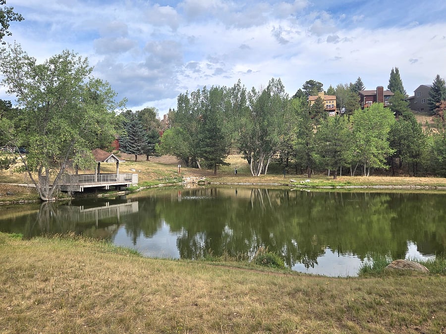 Pond on premises