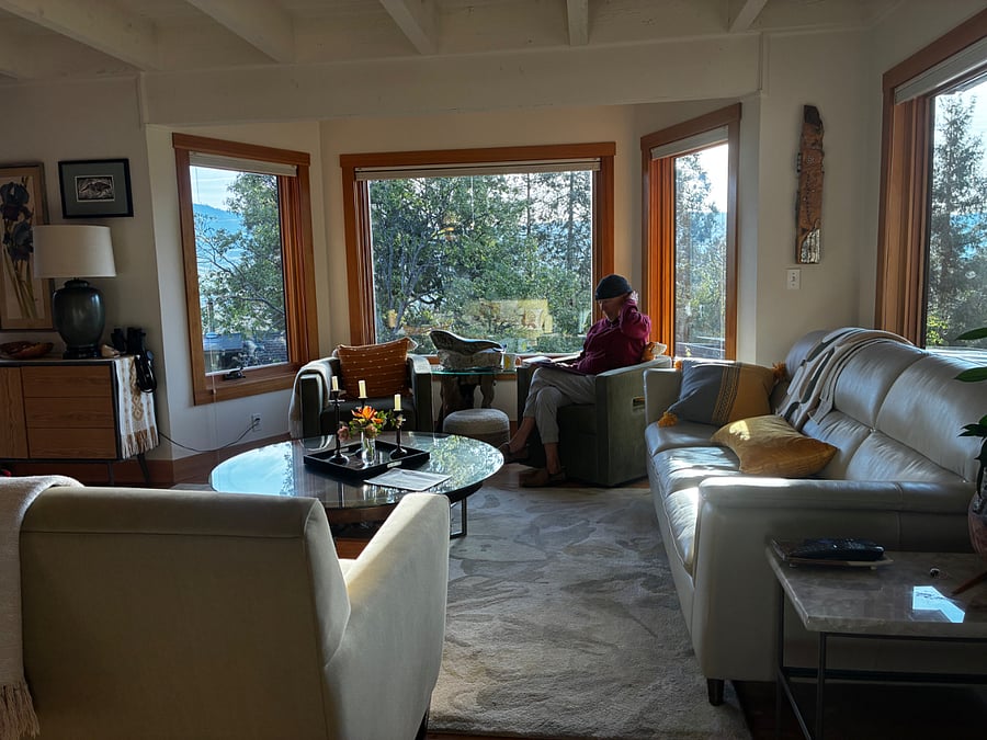 Southeast facing living room offer morning and mid day light. 