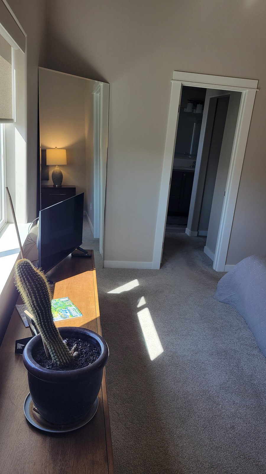 Furnished Finder property 1037143_1 photo 17