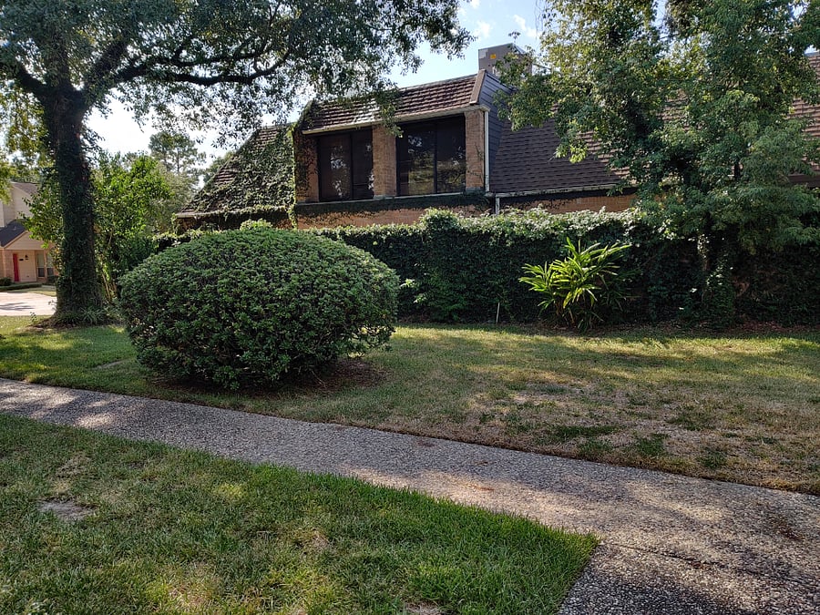 Furnished Finder property 1037149_1 photo 19