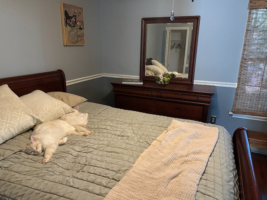 Furnished Finder property 1037171_1 photo 11