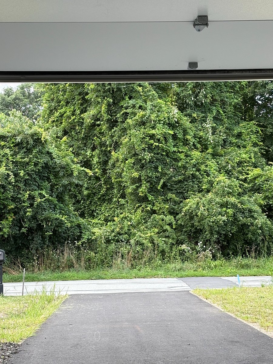 View from garage, living room and primary bedroom