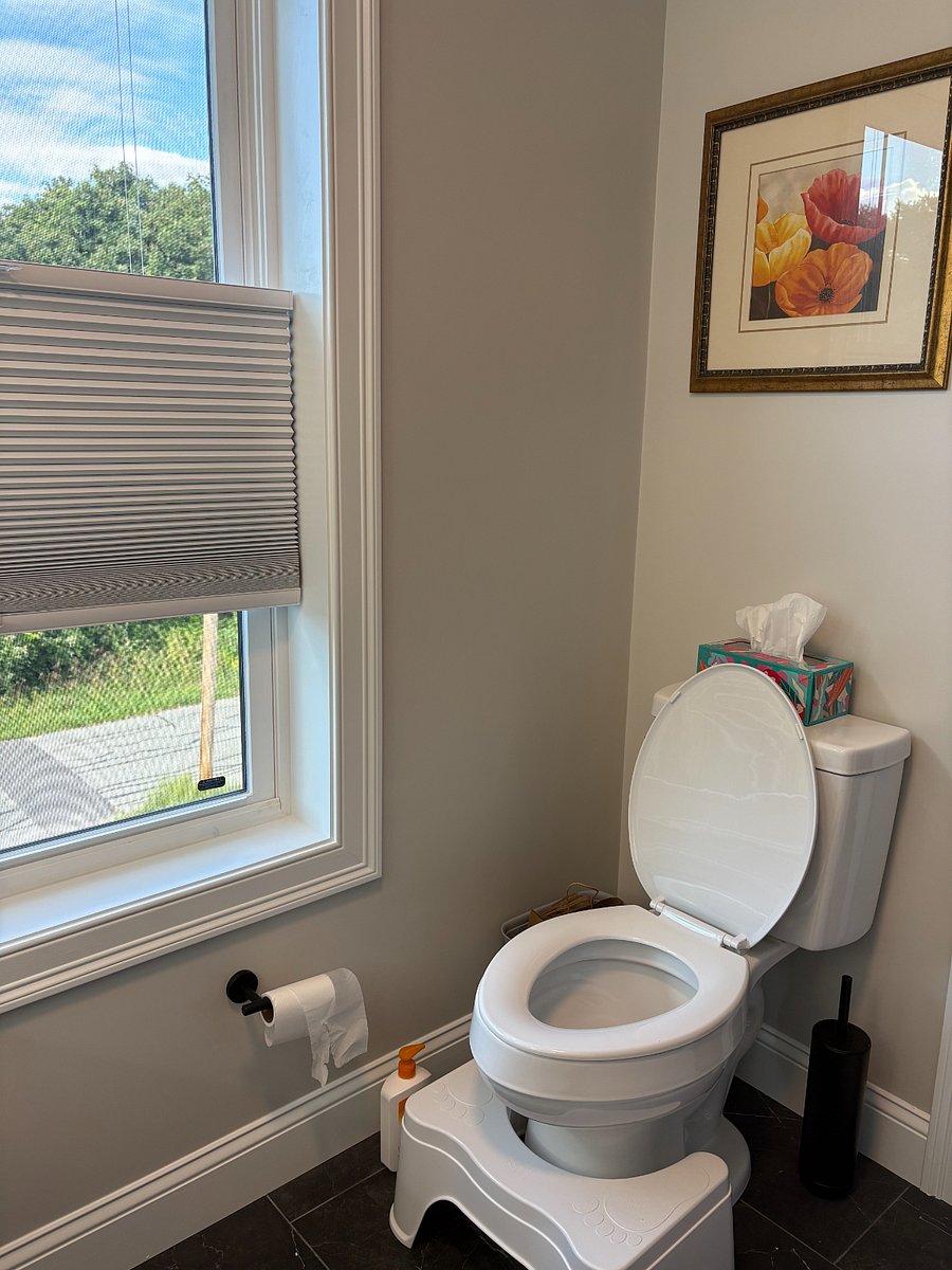 Toilet in primary bedroom.