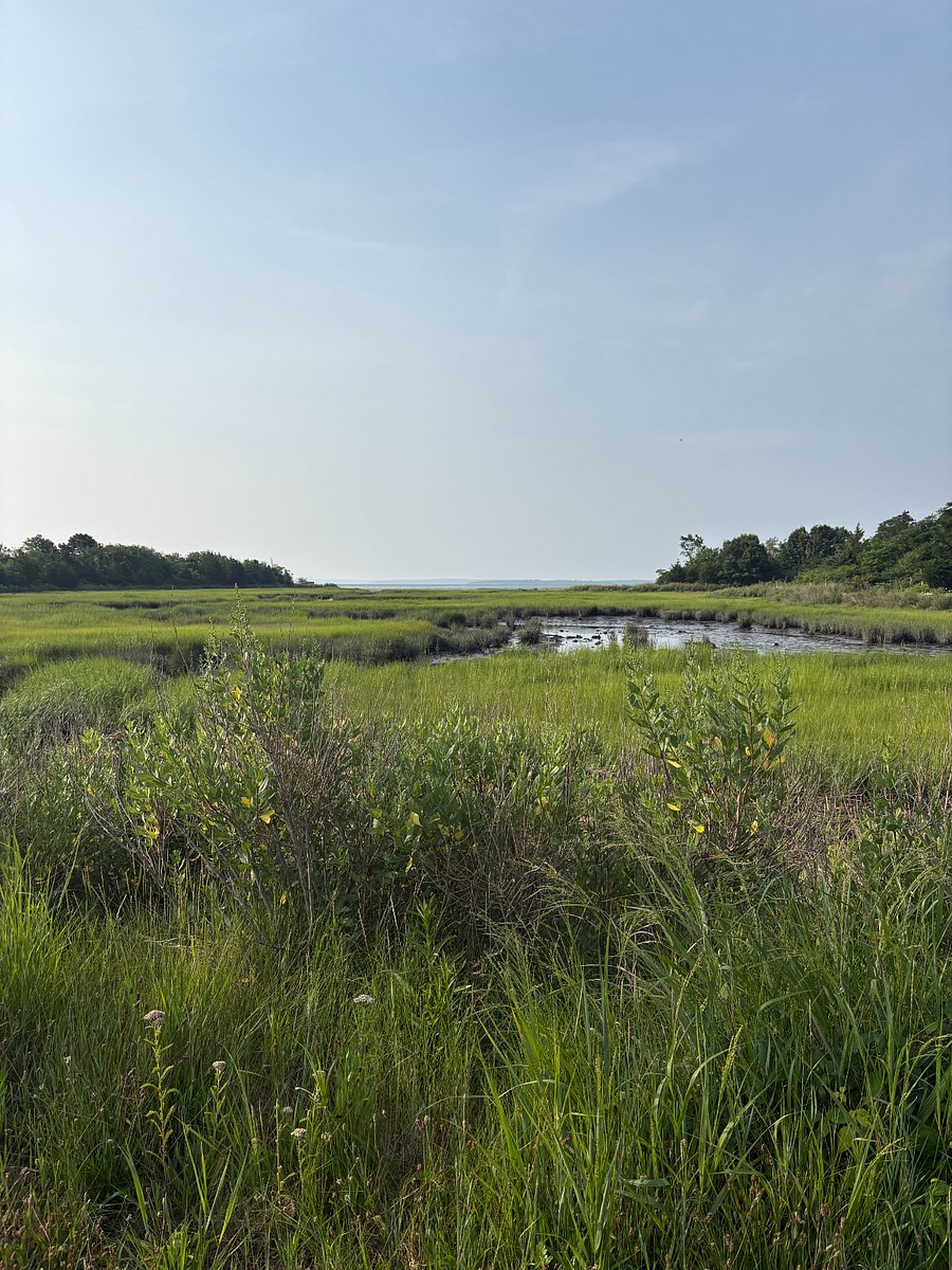 View while walking to the beach