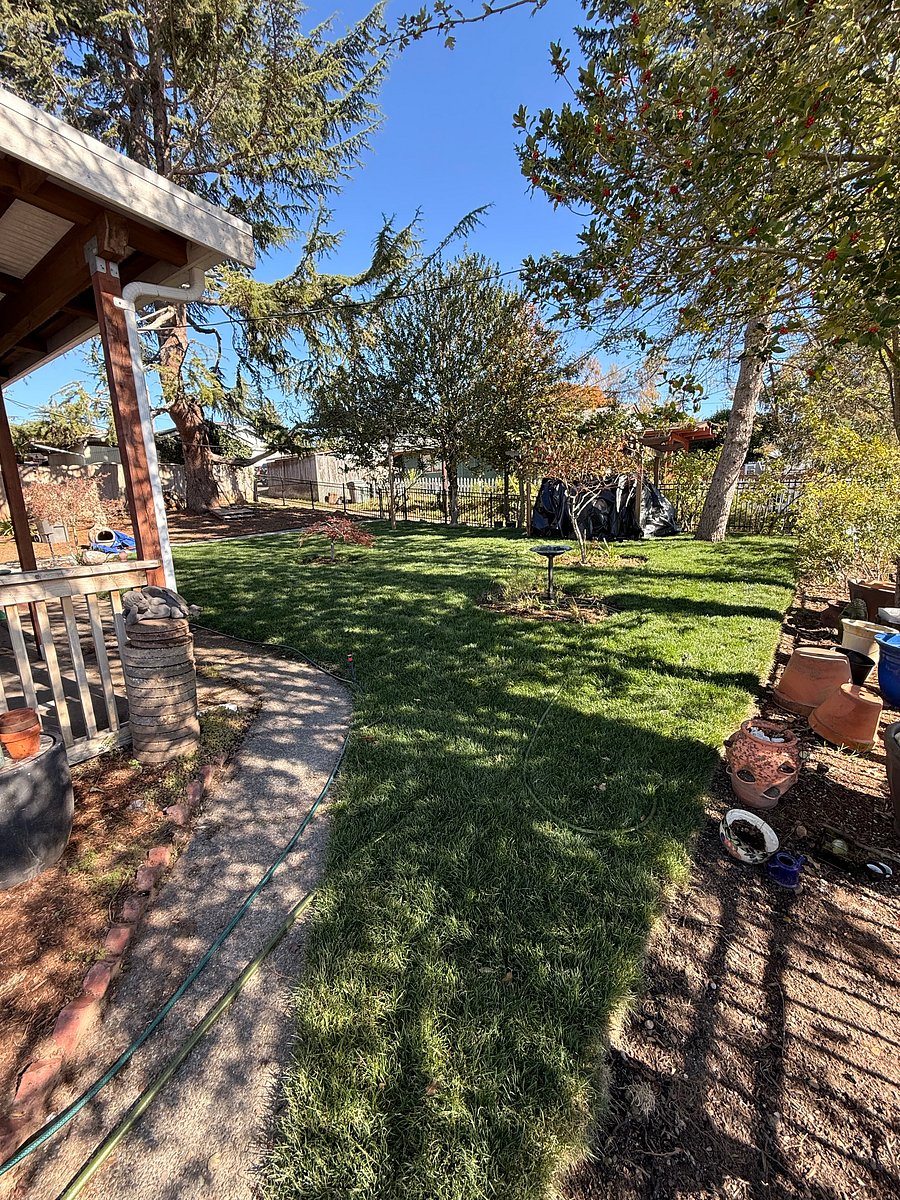 Furnished Finder property 1037329_1 photo 15