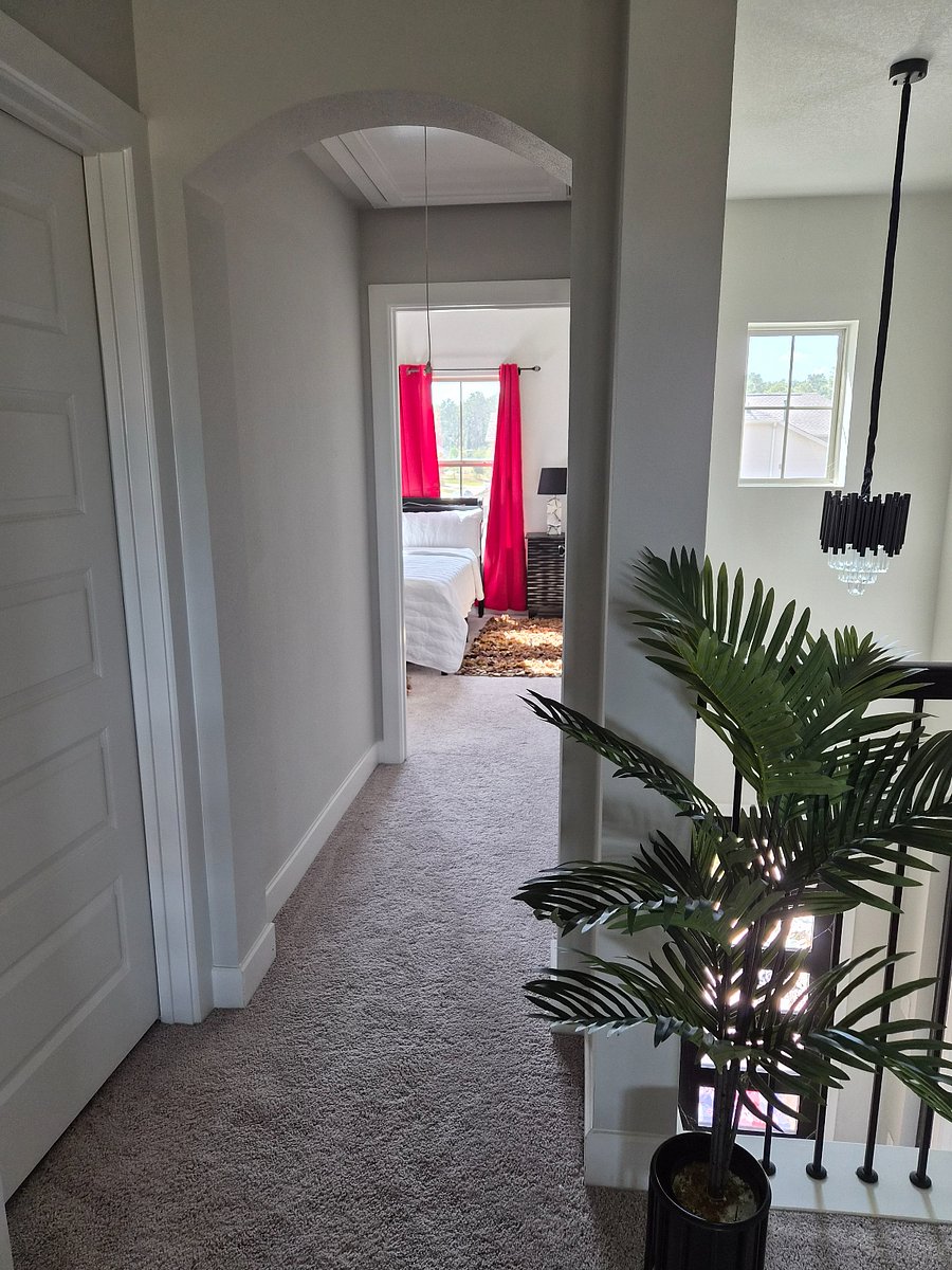 Furnished Finder property 1037473_1 photo 8