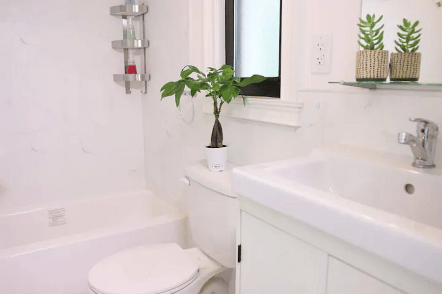 Enjoy a spotless, well-maintained bathroom stocked with fresh essentials for you