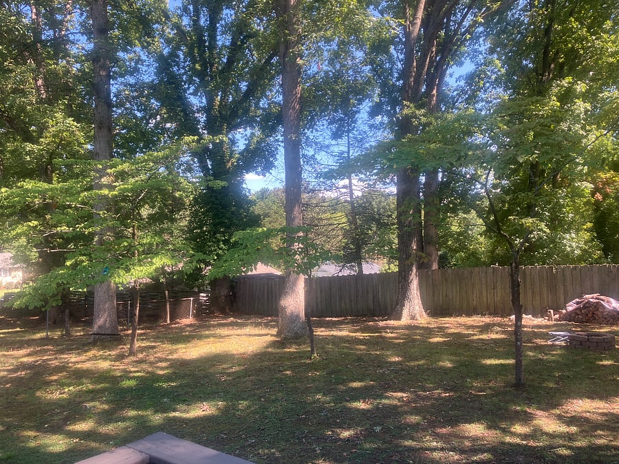 Furnished Finder property 1037500_1 photo 9