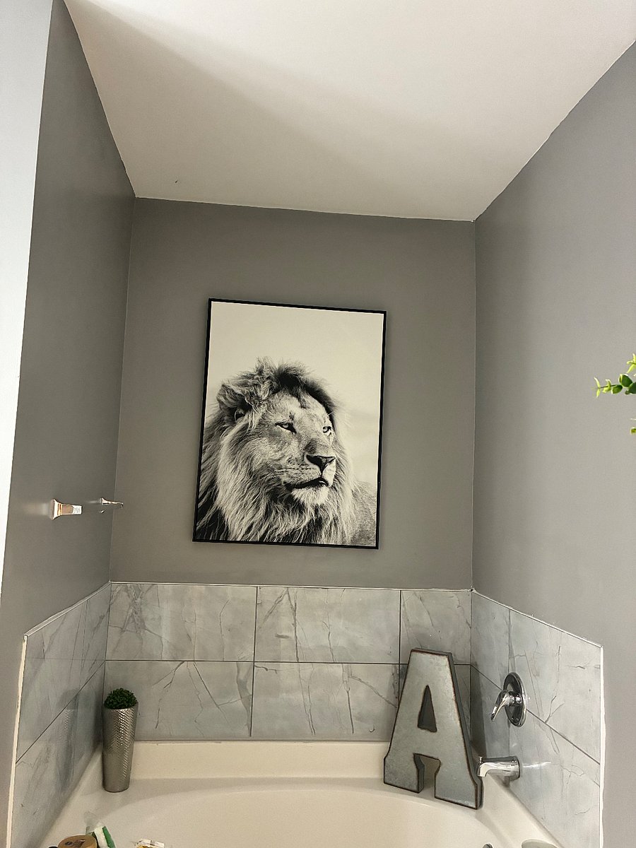 Furnished Finder property 1037512_1 photo 11