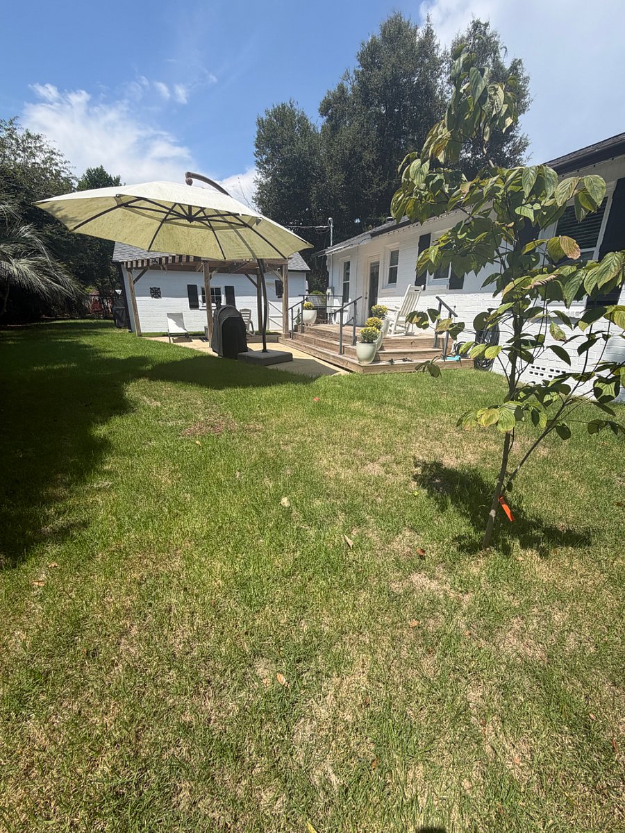 Furnished Finder property 1037603_1 photo 25