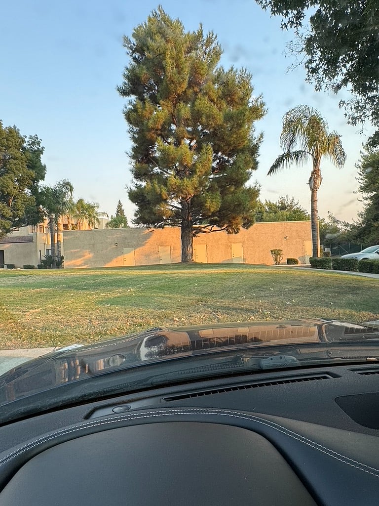 Park like setting