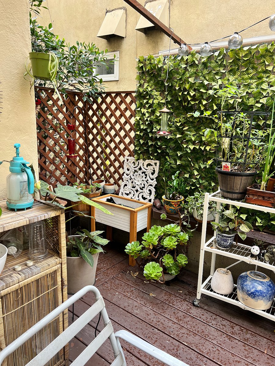 Furnished Finder property 1037638_1 photo 13