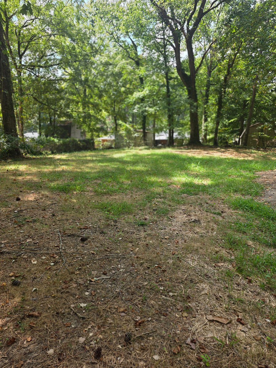Furnished Finder property 1037751_1 photo 4