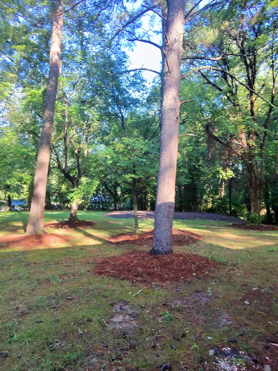Furnished Finder property 1037751_1 photo 7