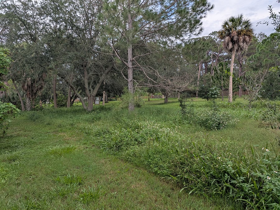 Nature preserve as seen to the east from the back yard.