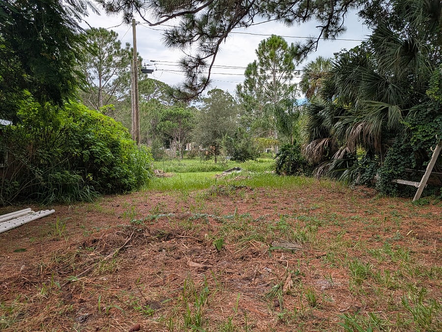 The back yard.