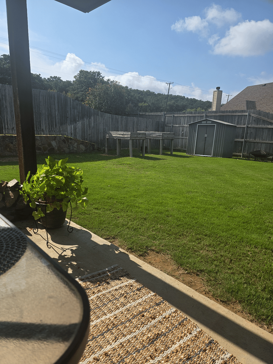 Back Yard View