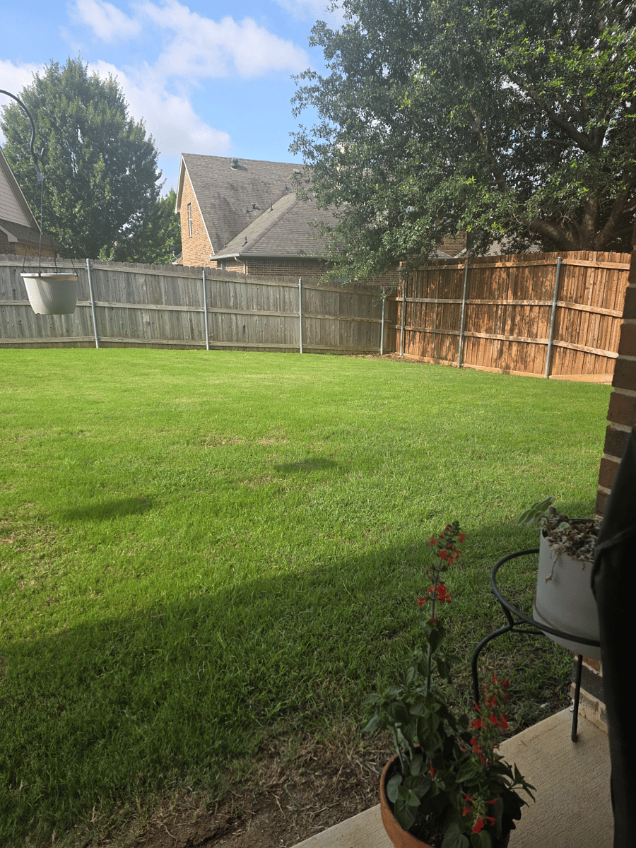 View to Back Yard
