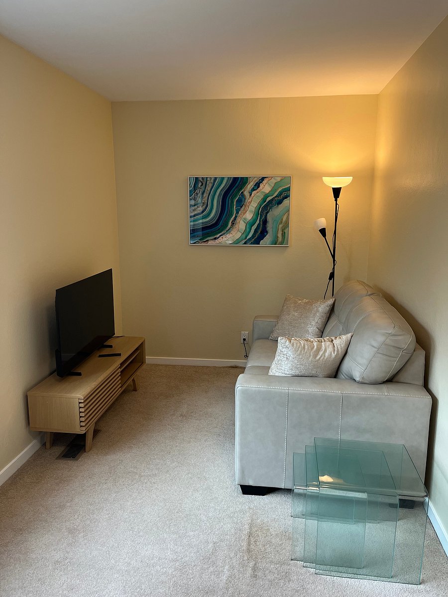 Sitting / TV area with new leather love seat and Smart TV.