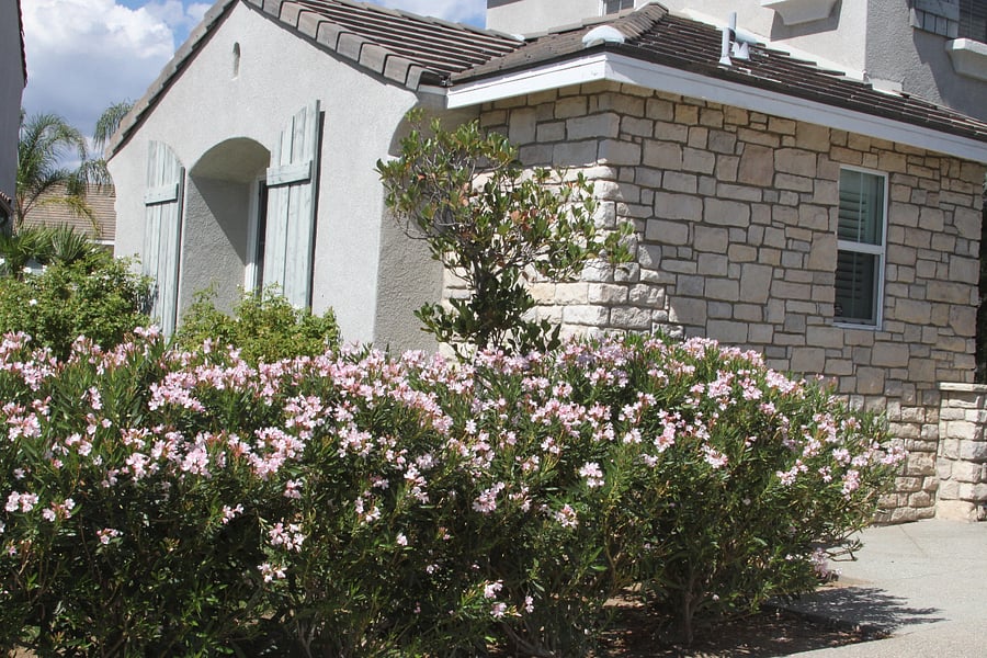 Furnished Finder property 1037947_1 photo 14