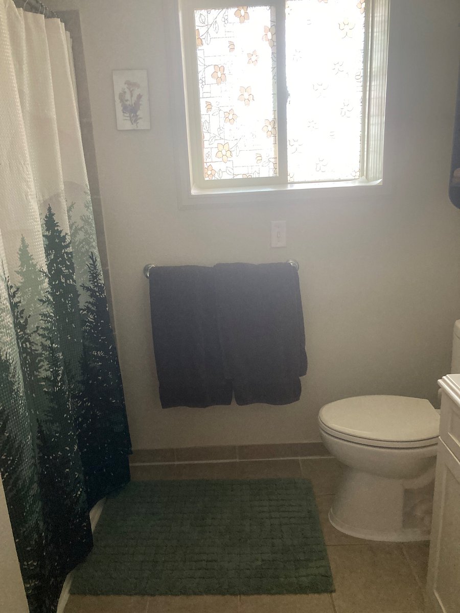 Bathroom! Shower (no bathtub), toilet, sink, mirror, shelved closet, under sink storage