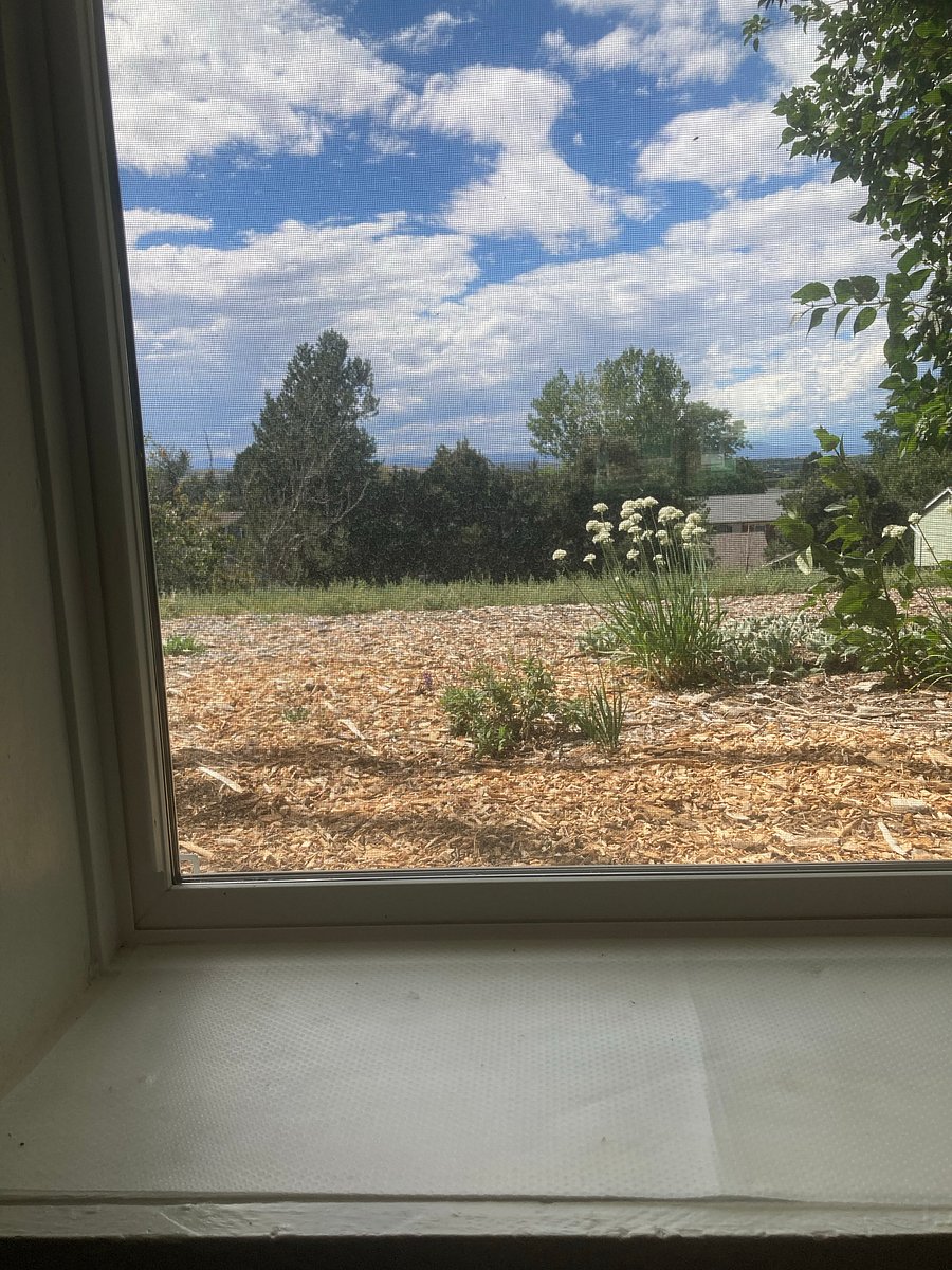 Looks like a painting... but this is your view from west window