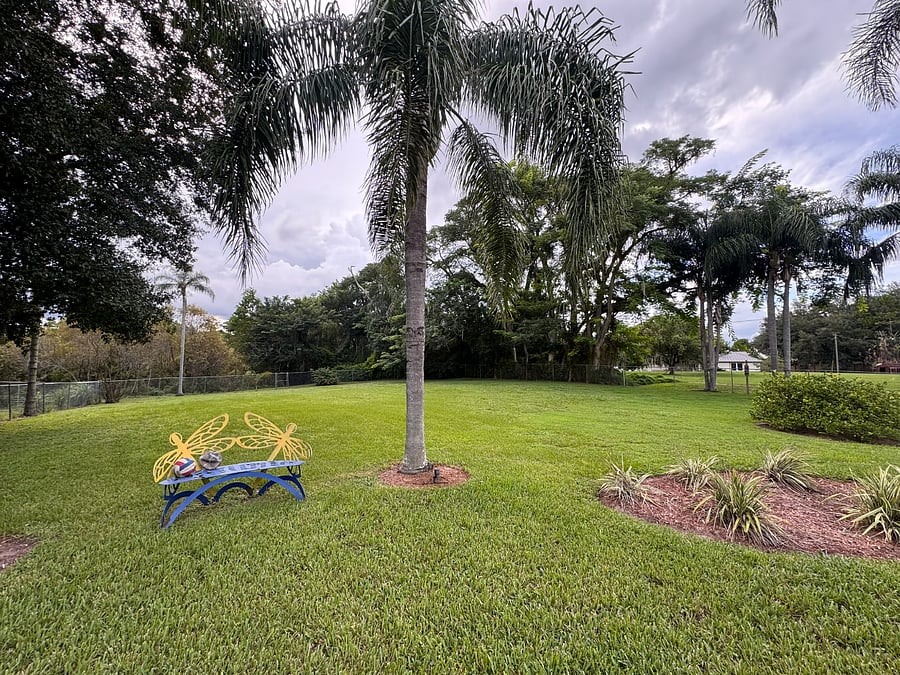 Furnished Finder property 1038272_1 photo 28