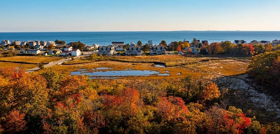 Birdseye view from the roof of the house