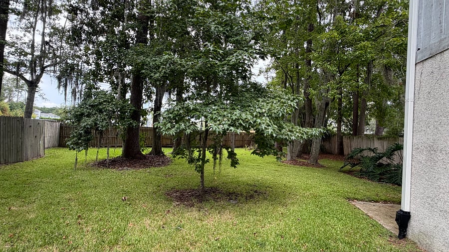 Furnished Finder property 1038356_1 photo 17