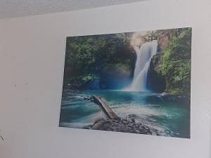 Furnished Finder property 1038372_1 photo 3