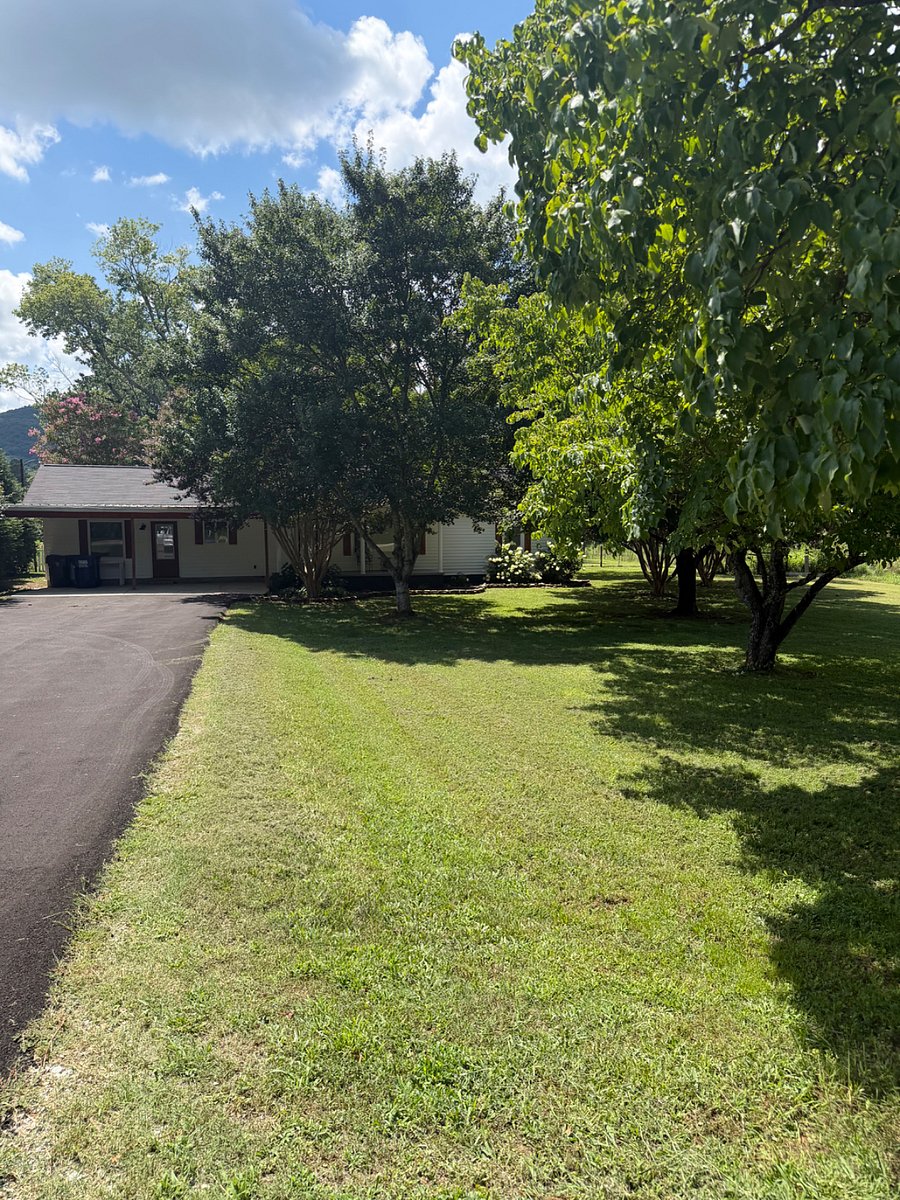 Furnished Finder property 1038383_1 photo 5