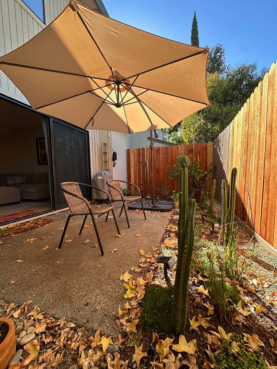 Furnished Finder property 1038453_1 photo 16