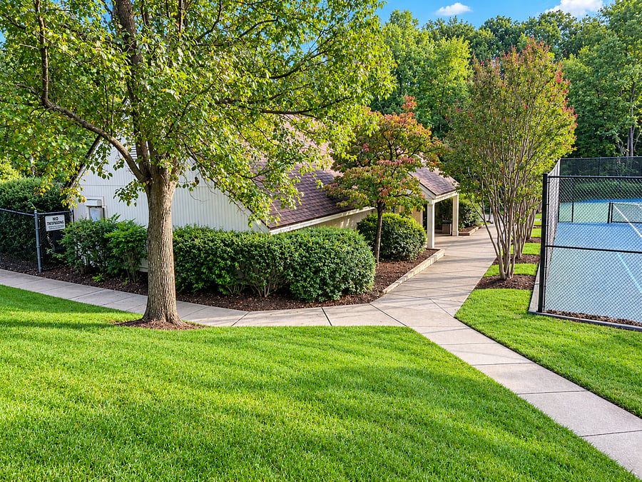 Furnished Finder property 1038567_1 photo 8