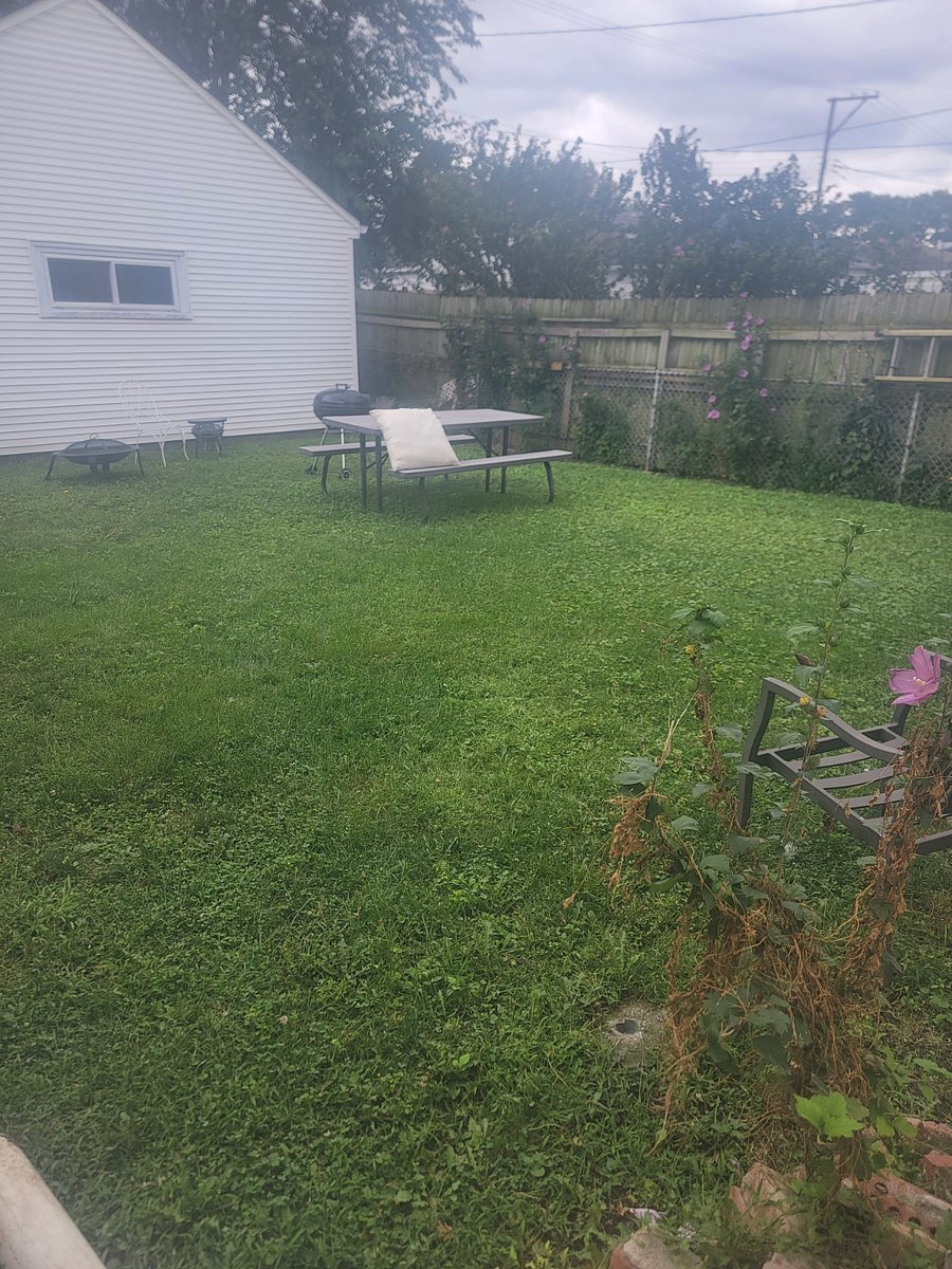 Furnished Finder property 1038808_1 photo 2