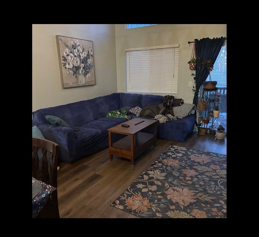 Furnished Finder property 1038944_1 photo 3
