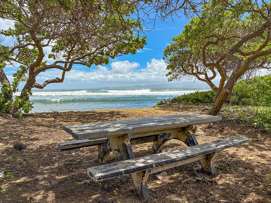 Short walk to Waiehu Beach Park