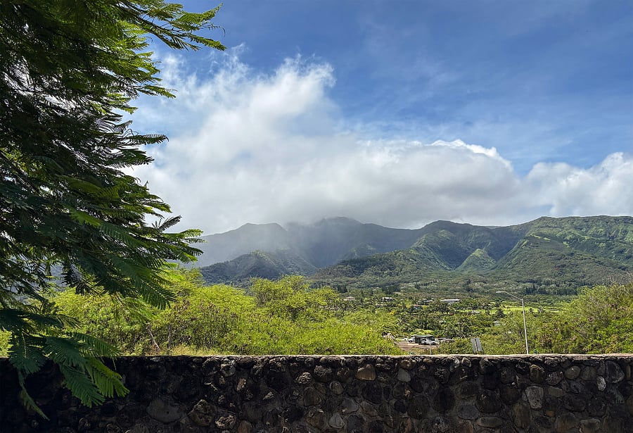 West Mauis at your doorsteps