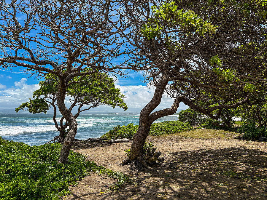 Short walk to Waiehu Beach Park