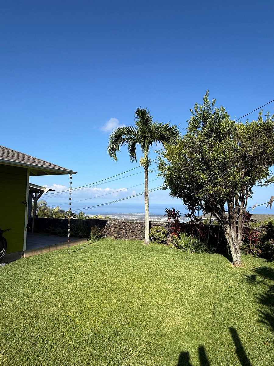 Backyard facing South West