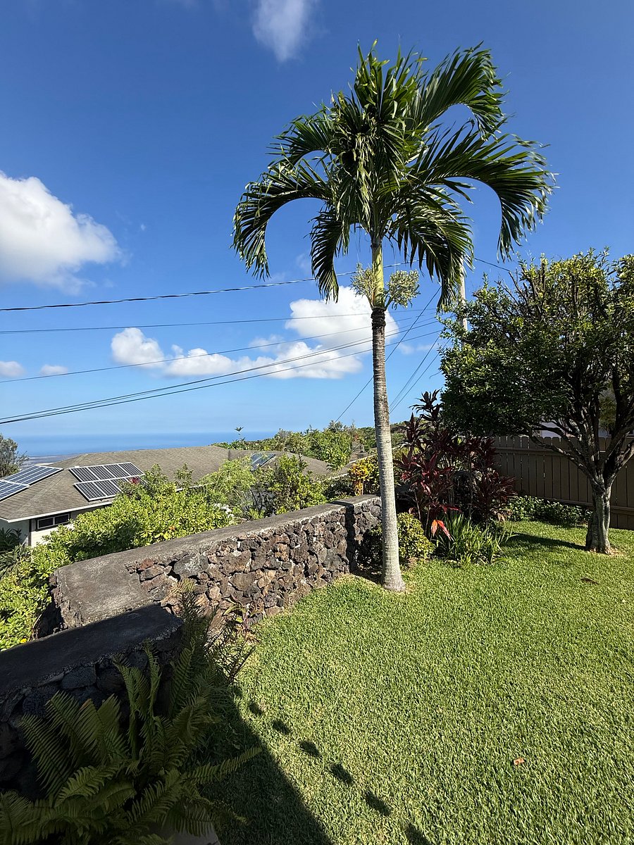 Furnished Finder property 1039113_1 photo 16