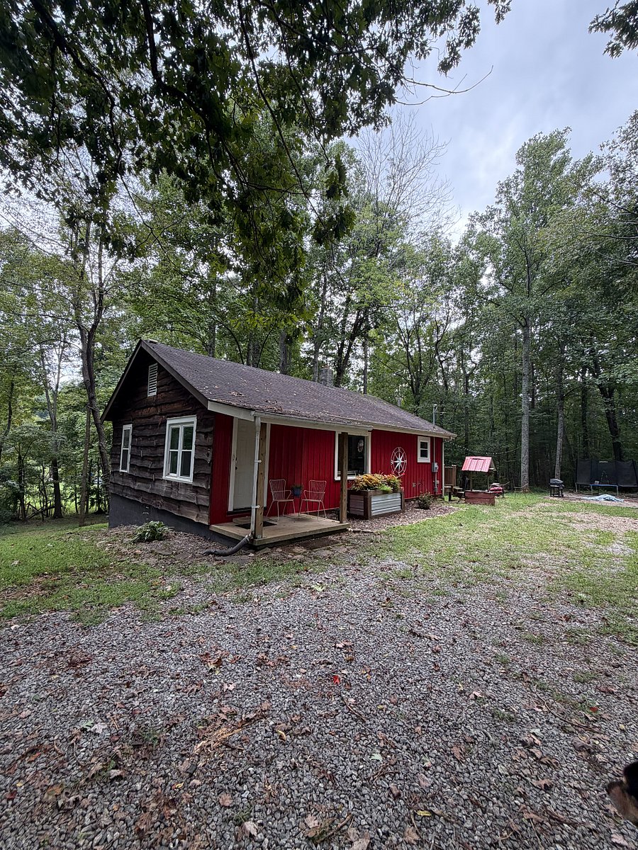 Furnished Finder property 1039213_1 photo 14
